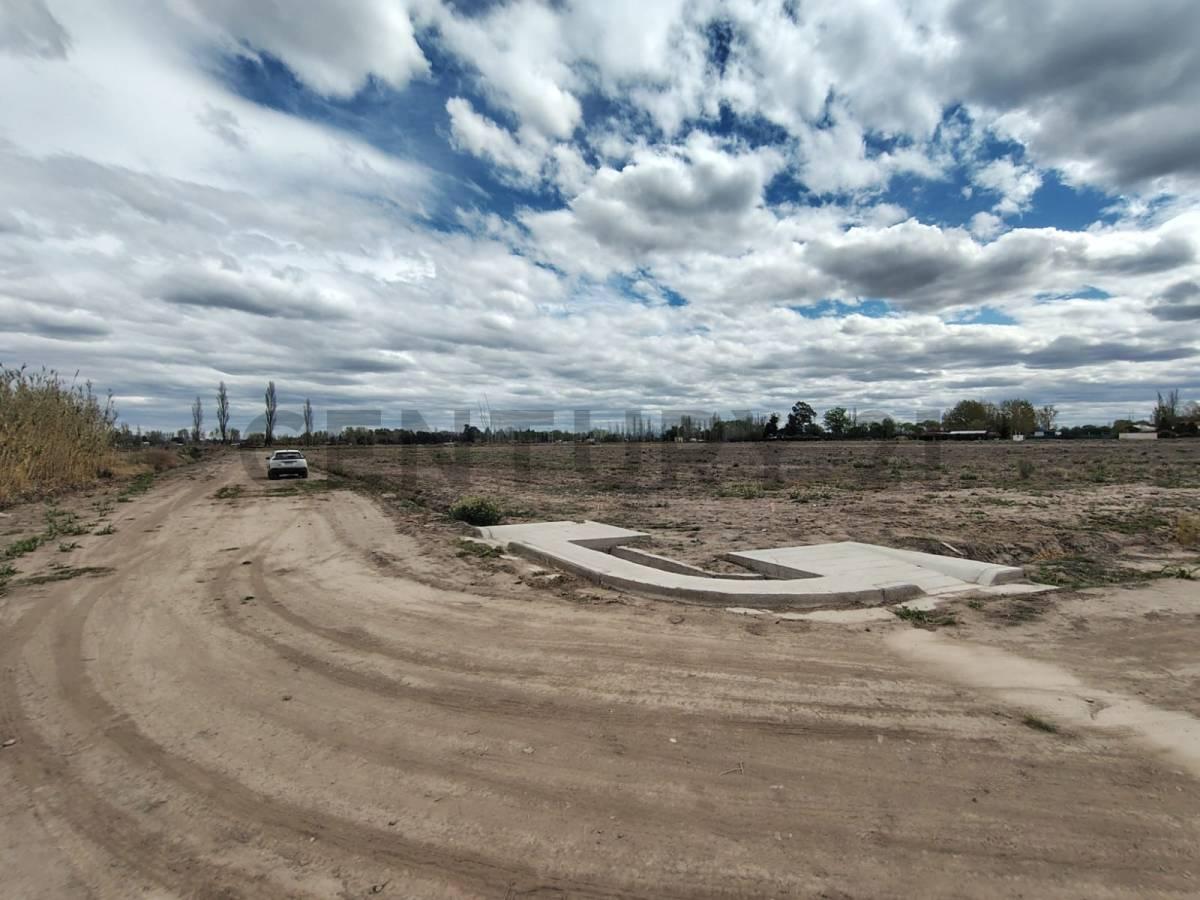 TERRENO EN VENTA, LAS PAREDES, SAN RAFAEL, MENDOZA. — foto 1