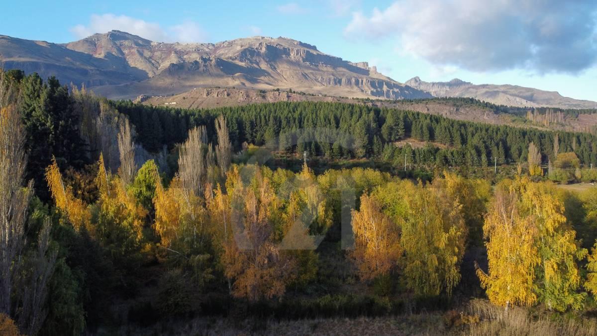 VENTA 2 HECTAREAS SAN MARTIN DE LOS ANDES. BARRIO RUCA HUE — foto 1