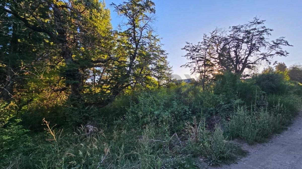 VENTA TERRENO SAN MARTIN DE LOS ANDES. KALEUCHE BAJO — foto 1