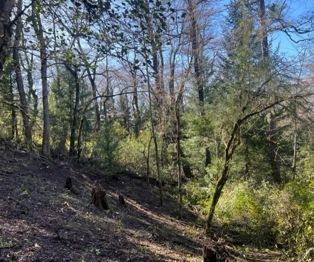 VENTA TERRENO SAN MARTIN DE LOS ANDES. BARRIO ALIHUEN ALTO — foto 1