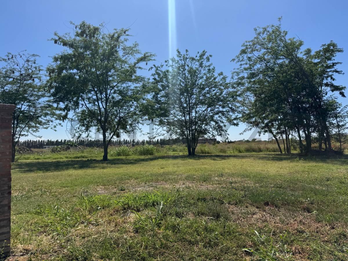 LOTE EN VENTA — foto 1