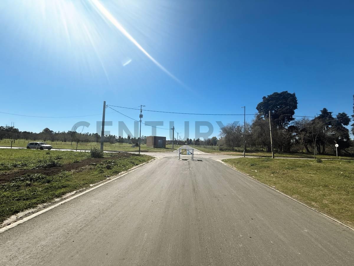 Lote en Venta, Pueblo Nuevo - Bella Vista — foto 1