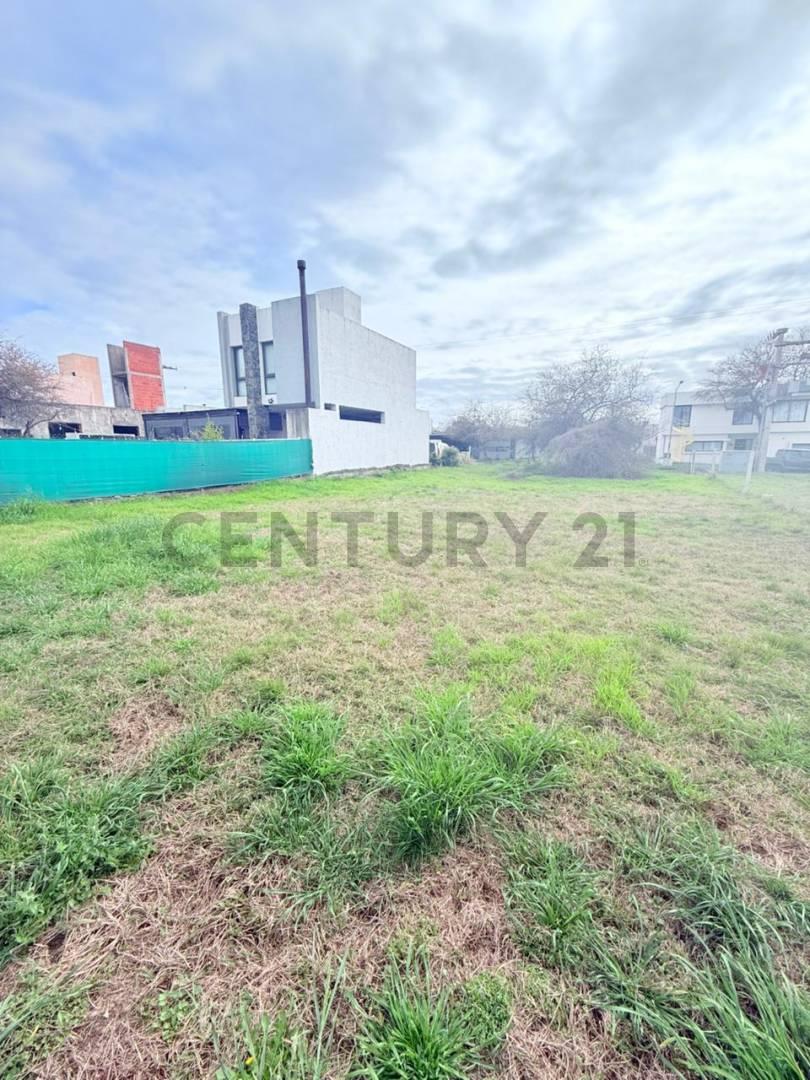 Venta de Lote en villa Catalina — foto 1