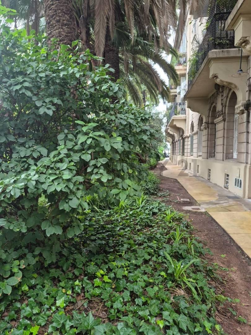 VENTA DEPARTAMENTO 4 AMBIENTES EN PB-EDIFICIO DE ESTILO AFRANCESADO SAINT MARTIN — foto 1