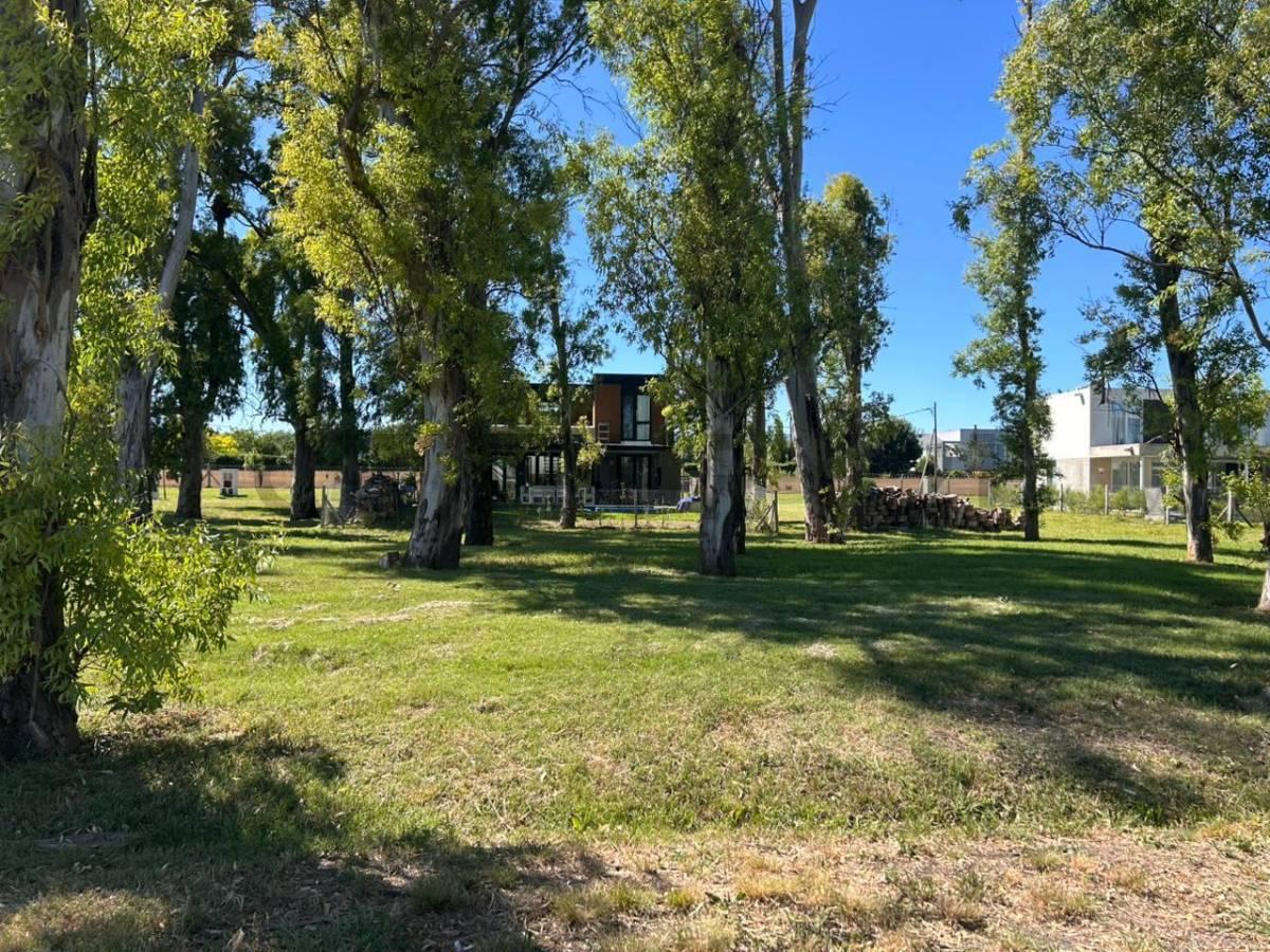 Lote en venta en Gonnet, En PUEBLO 1 — foto 1