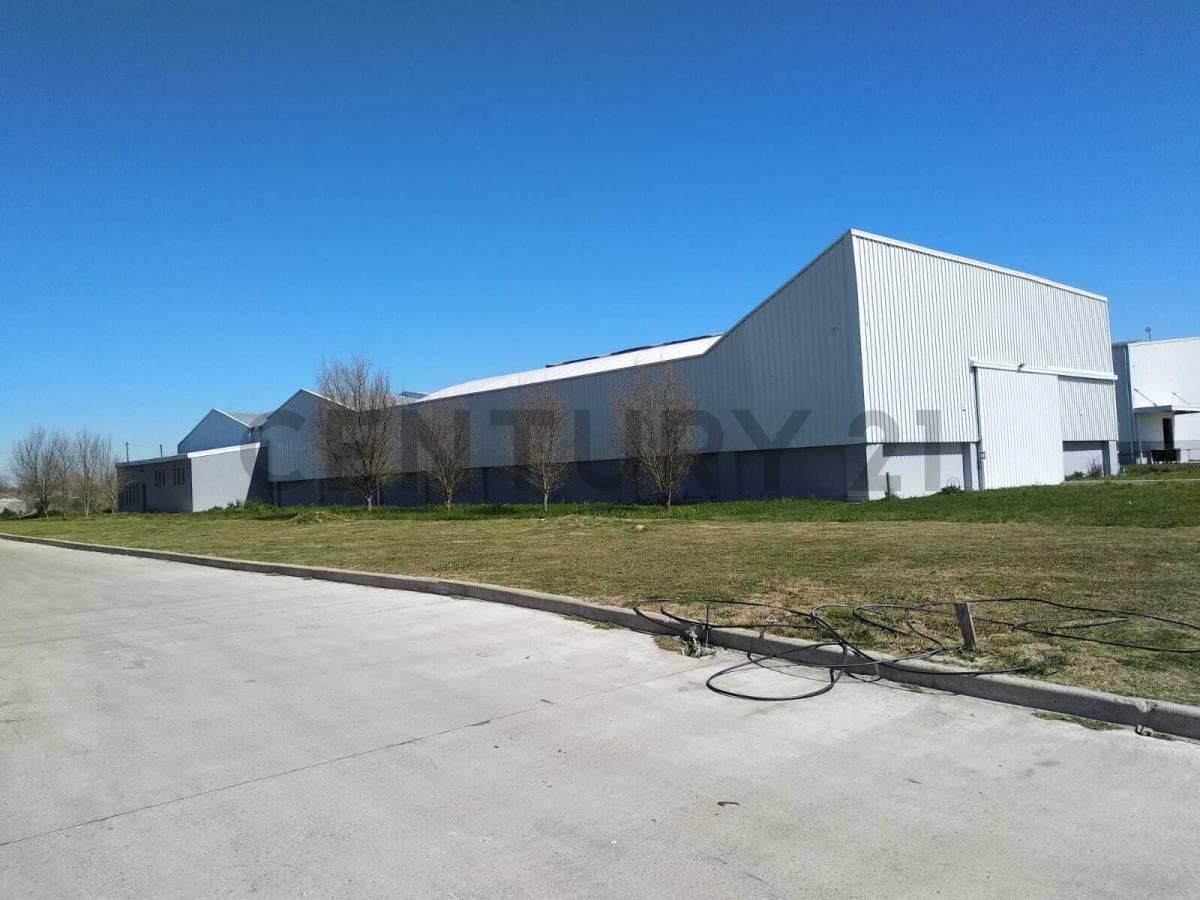 VENTA GALPON ,EN AREA PROCUCTIVA LA PLATA - AV 520 Y 200 — foto 1