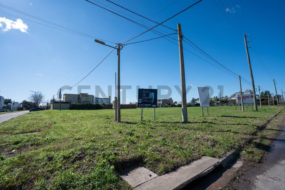 Terreno en venta en DON CARLOS — foto 1