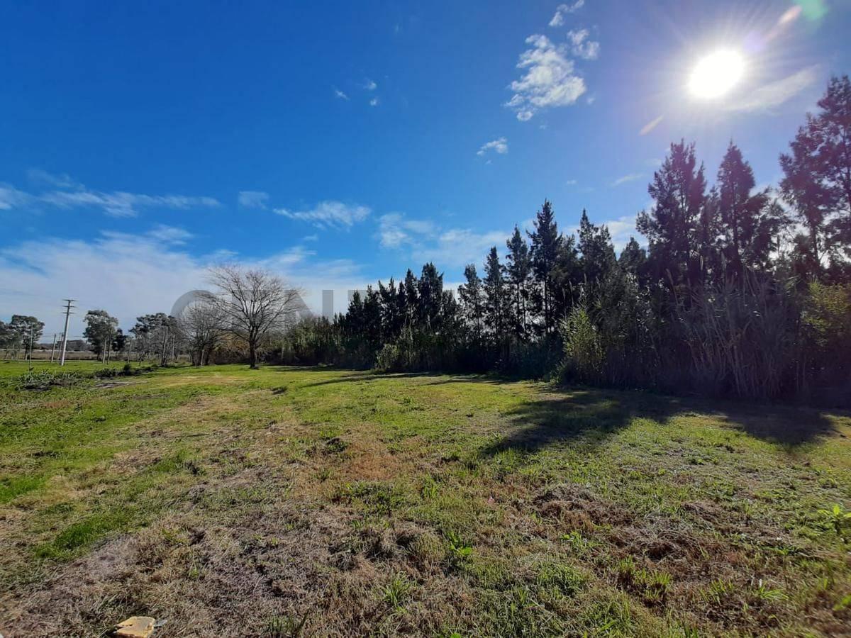 Lote en venta — foto 1