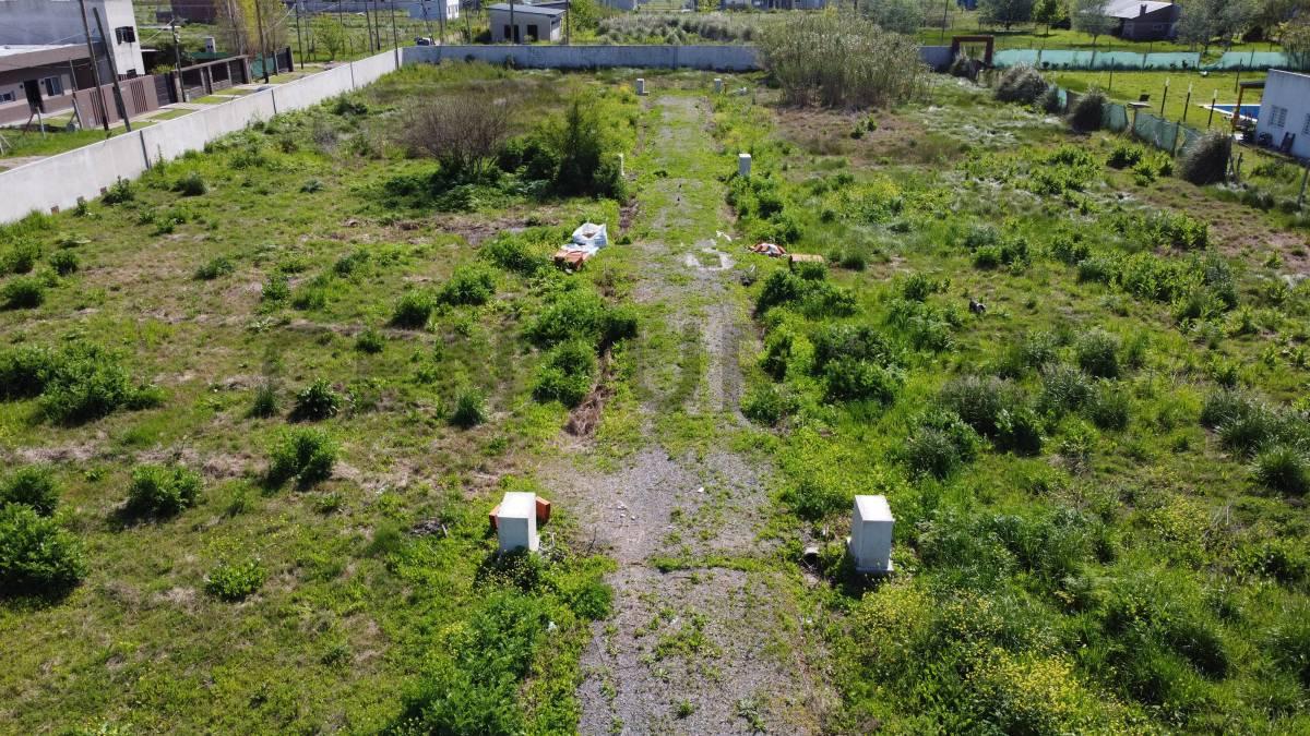 Loteo en Venta en Villa Castells — foto 1