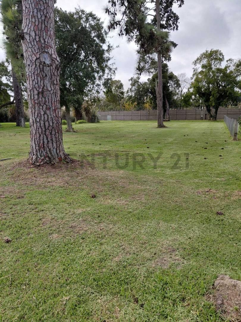 Lote en venta en Greenville — foto 1