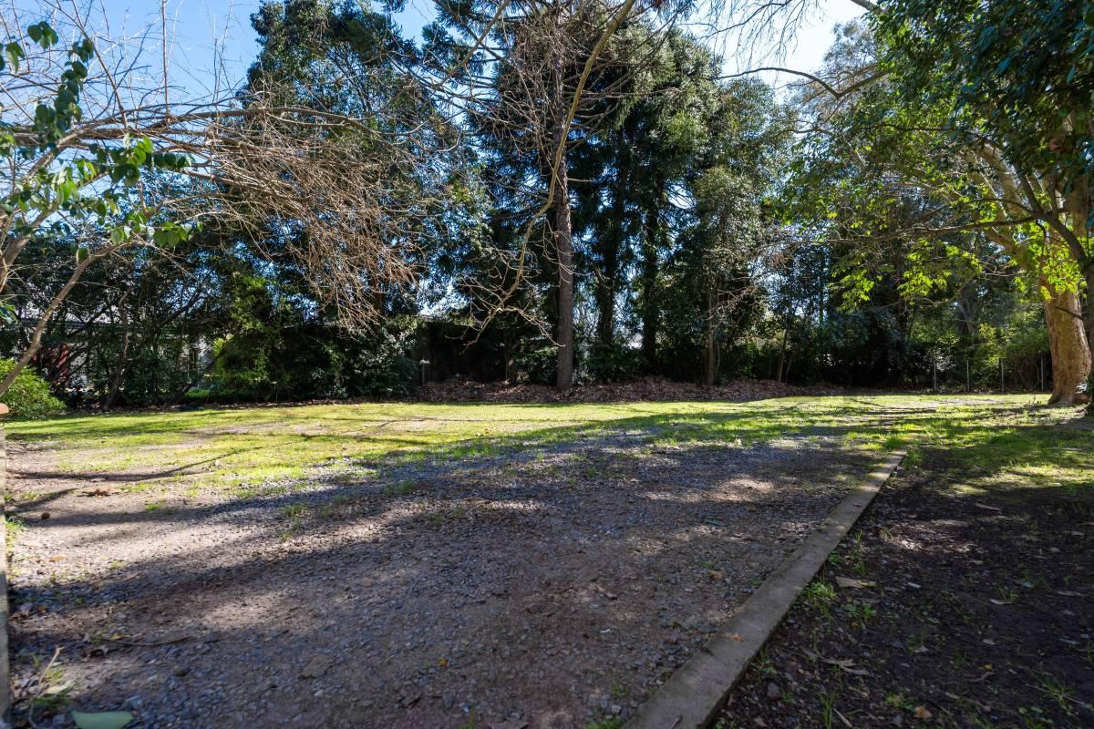 TERRENO EN VENTA EN VILLA ELISA, ENTRE CAMINOS. — foto 1