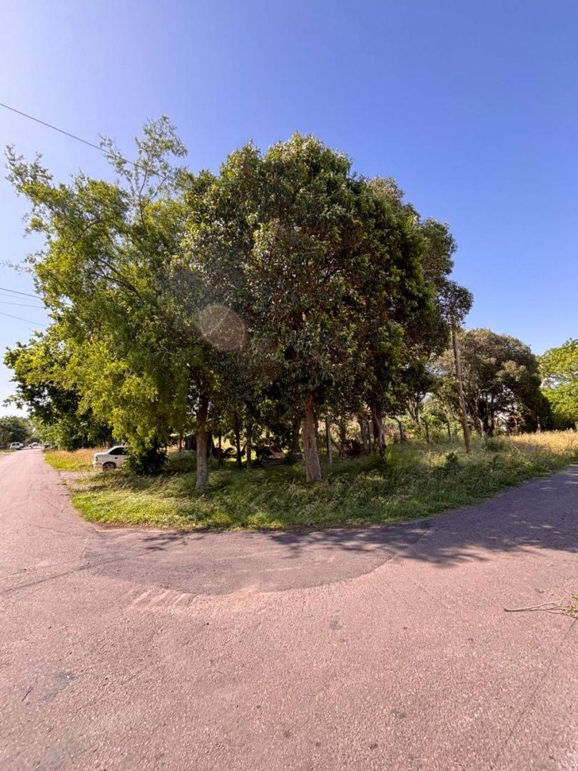 134 y 513 LOTES EN VENTA EN BLOCK GORINA — foto 1