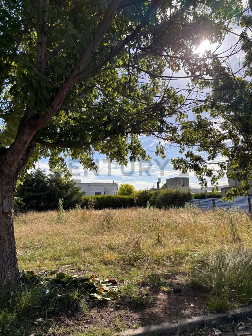 Venta de Lote Don Carlos La Plata calle 132 bis E/ 507 Y 508 — foto 1