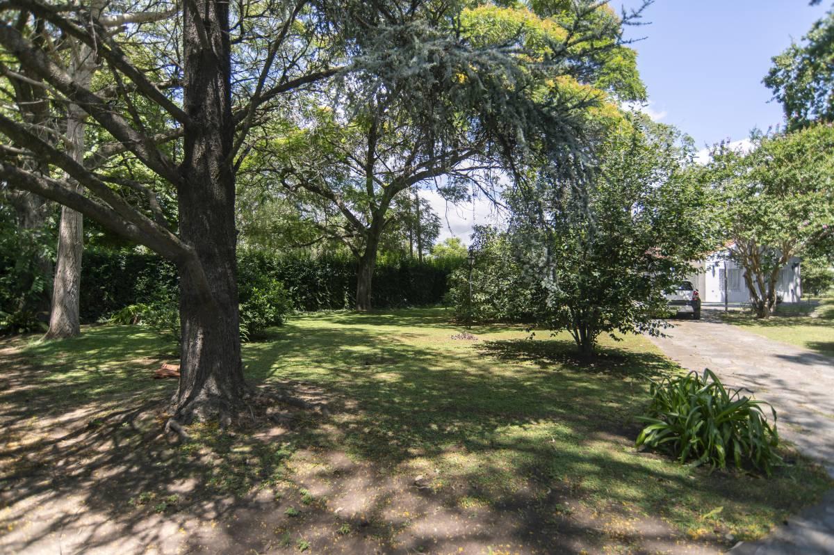 Lotes en Venta en Villa Elisa — foto 1