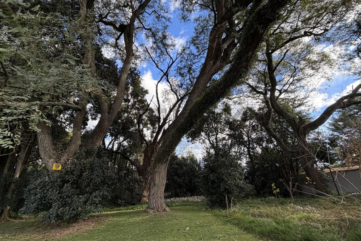 LOTE EN VENTA EN VILLA ELISA BARRIO CERRADO ESCRITURADO — foto 1