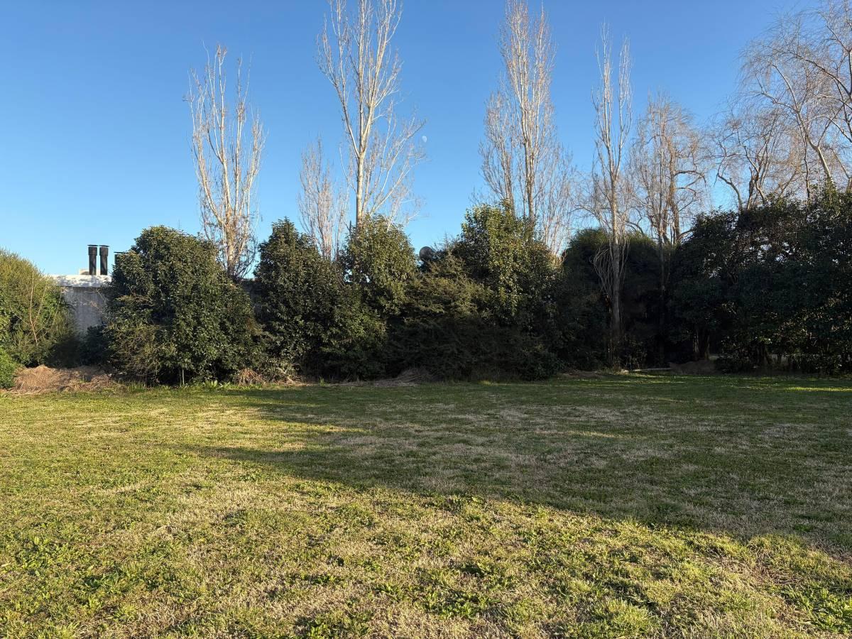Lote terreno en venta en city bell — foto 1