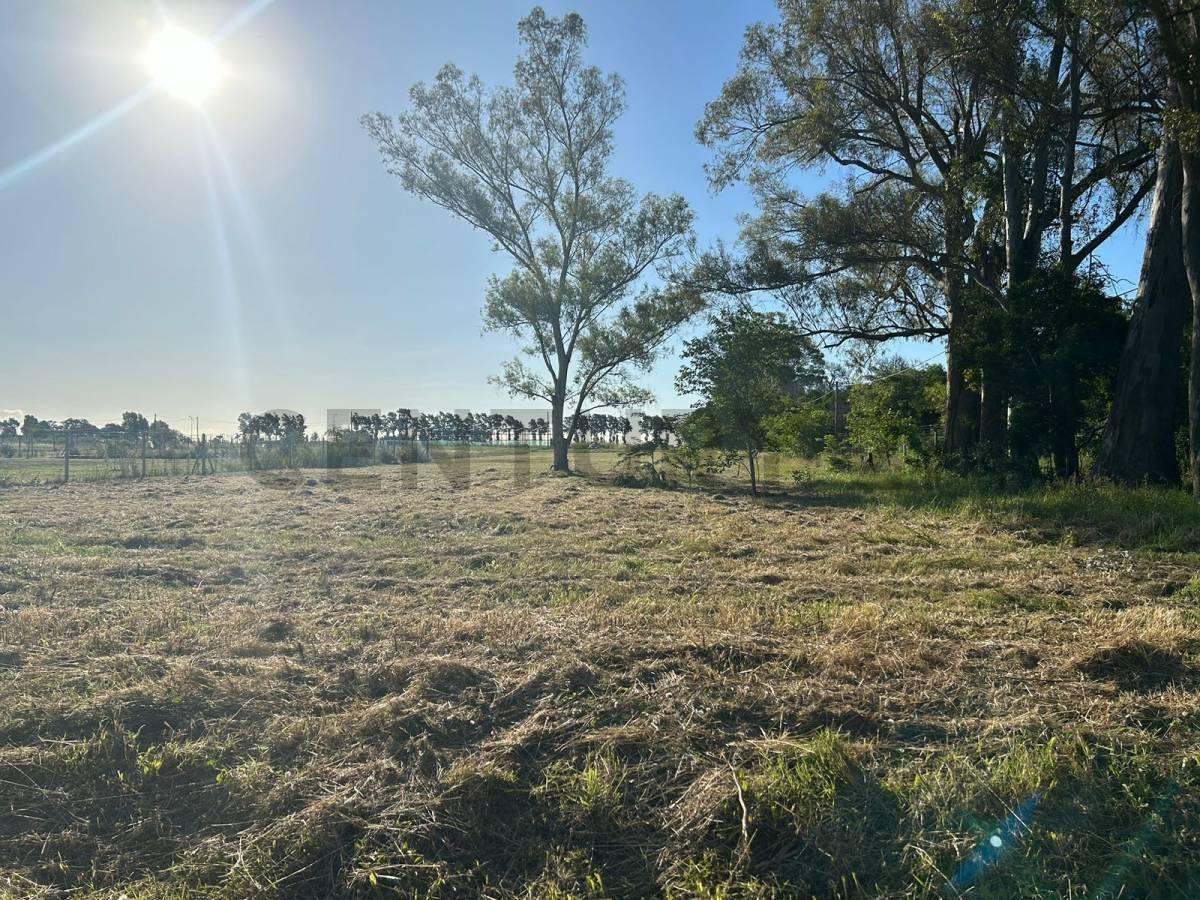 LOTE EN VENTA EN CITY BELL LA CAÑADA 1 DE 2474 M2 — foto 1