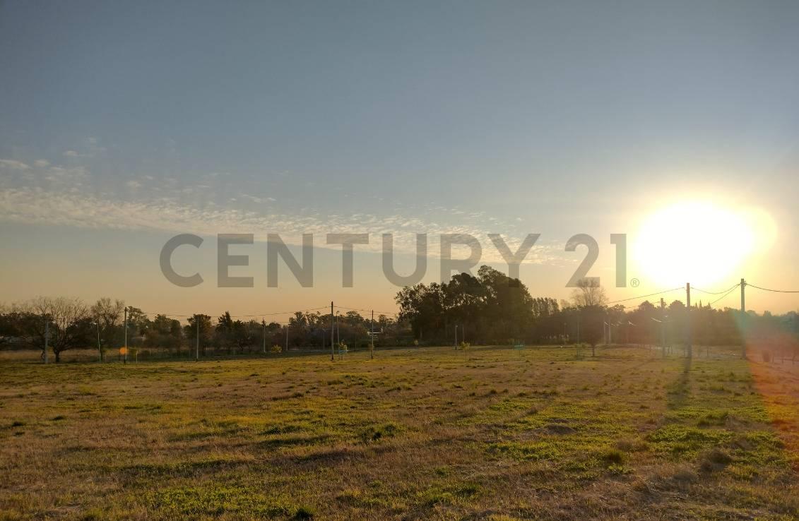 Lote en Venta en City Bell — foto 1