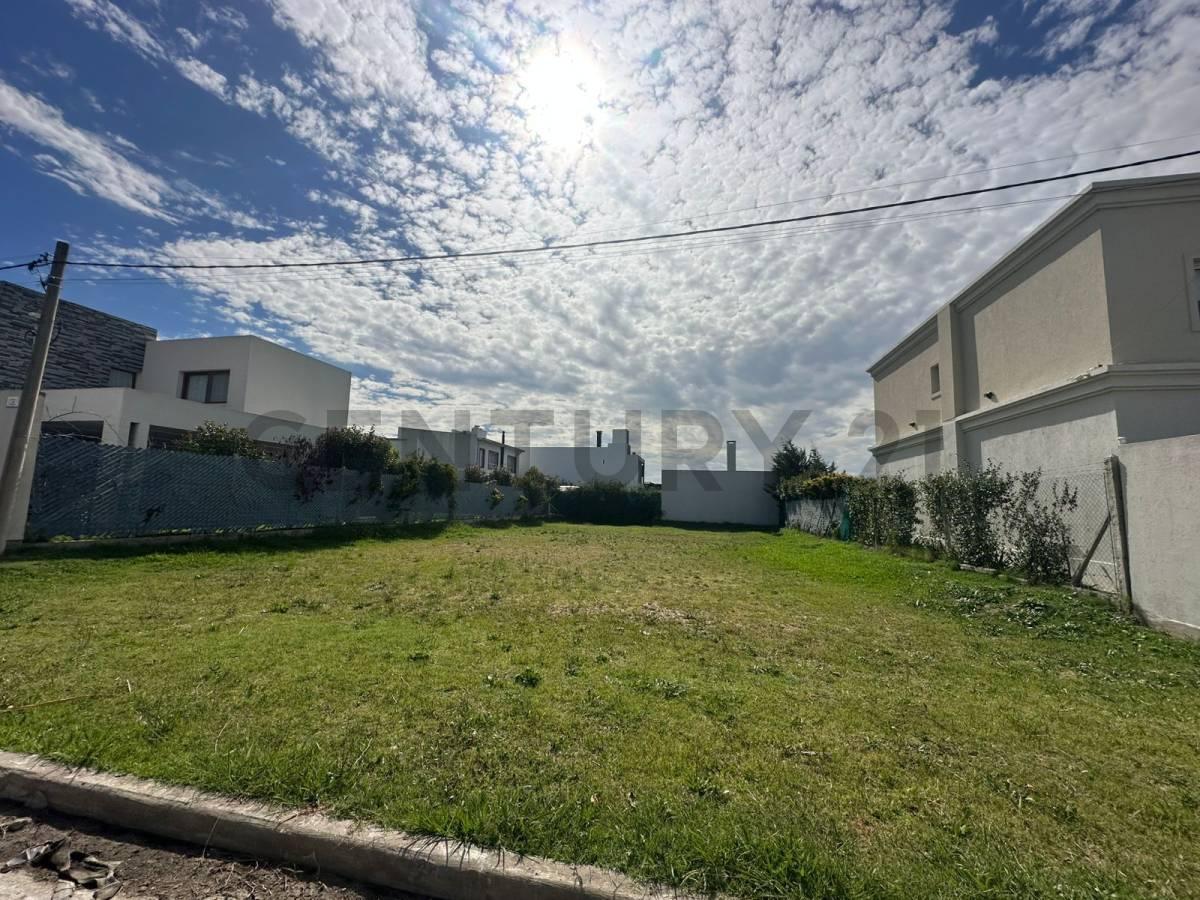Lotes en venta en Las Catalinas, Gorina — foto 1