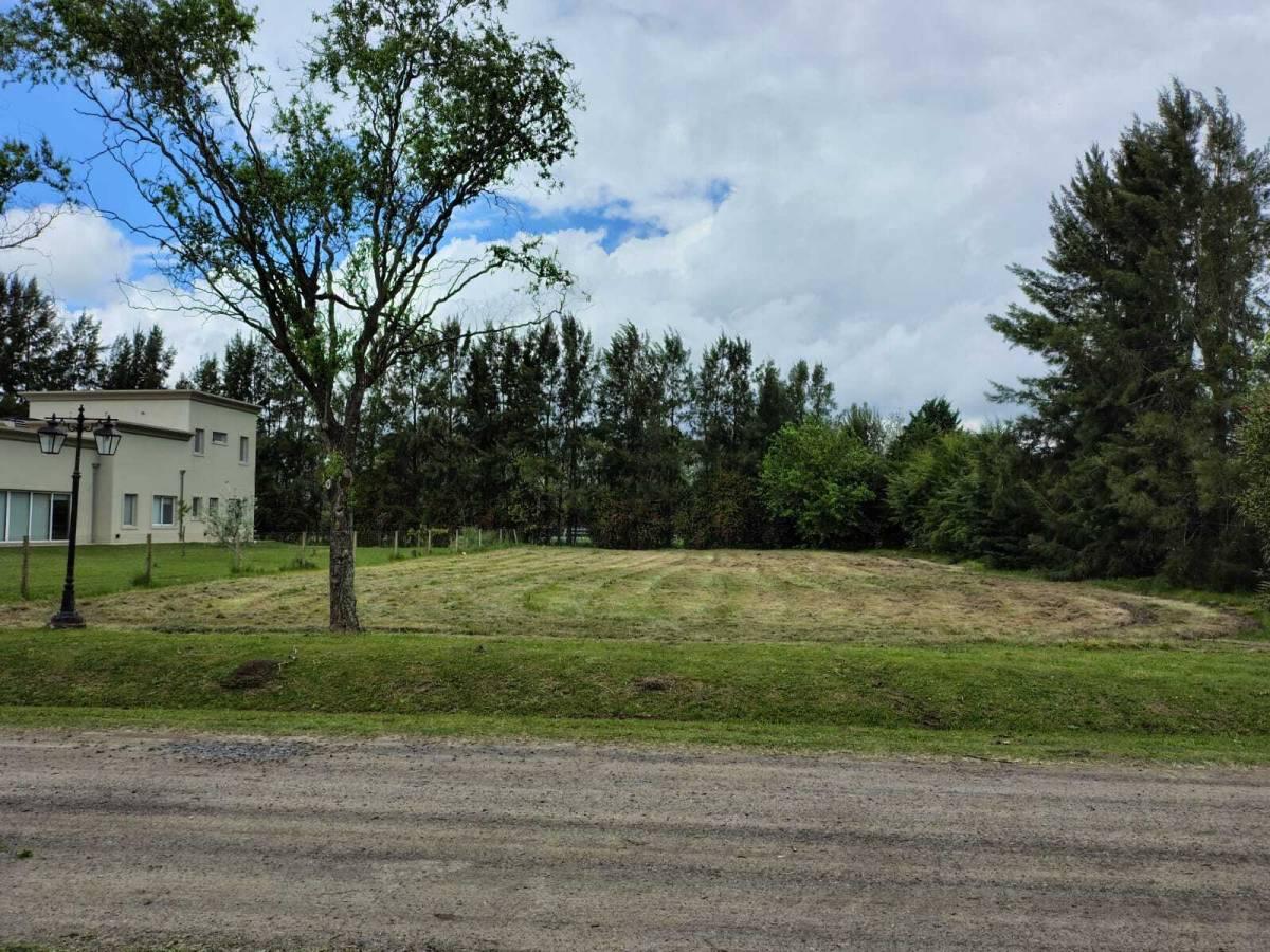 Lote en venta en Haras del Sur 1- OPORTUNIDAD — foto 1