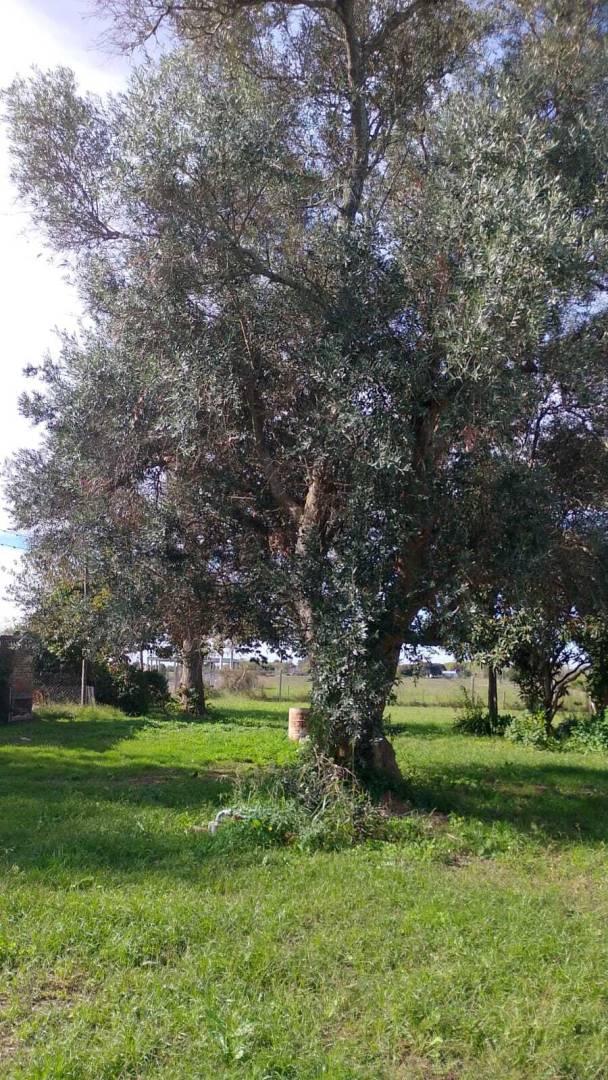 CALLE 630 Y 135 | VENTA LOTE Barrio Aires de Arana — foto 1