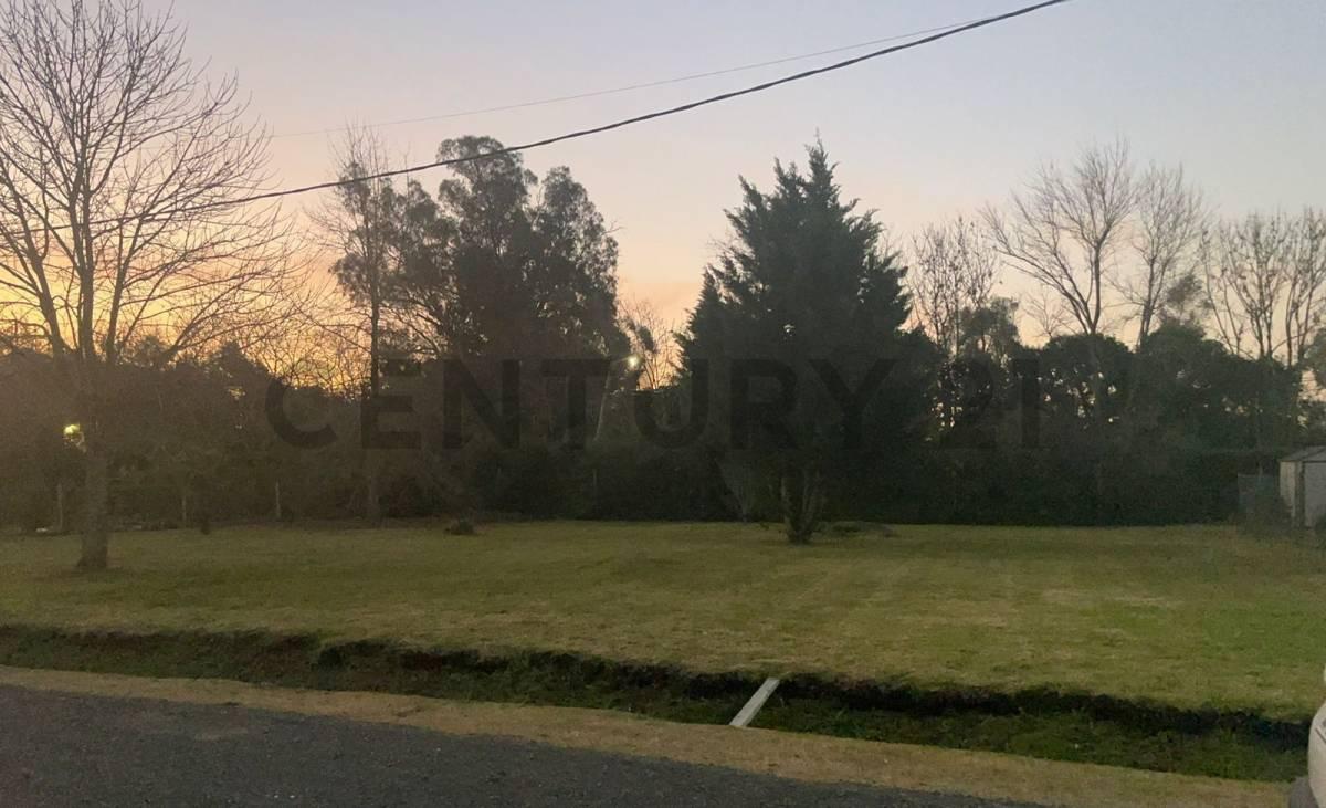 483 entre 145 y 146 Lote en venta en Quintas de Gorina — foto 1