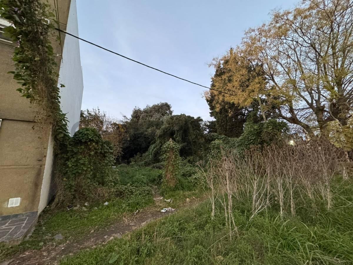 Lote en venta en La Plata av. 143 e/54 y 55 — foto 1