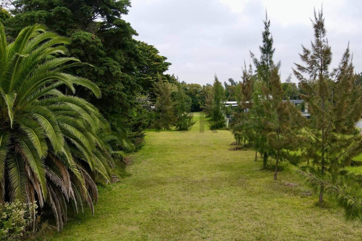 Lote en venta en La Plata — foto 1