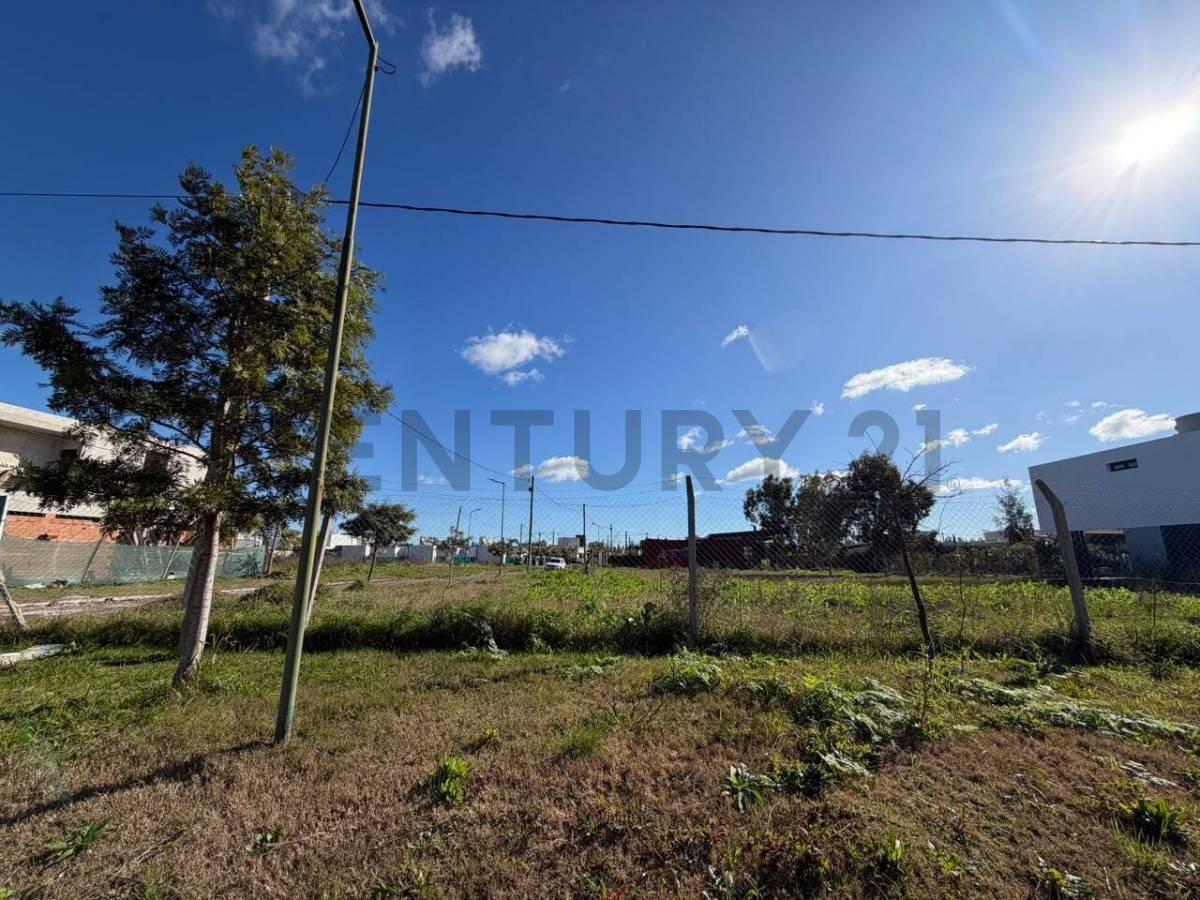 LOTE EN VENTA EN CITY BELL EL QUIMILAR 266,15M2 — foto 1