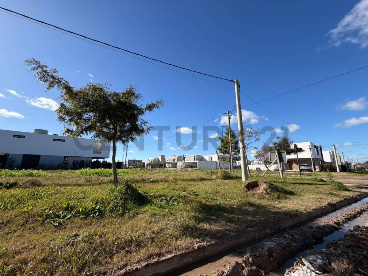 LOTE EN VENTA EN CITY BELL EL QUIMILAR — foto 1