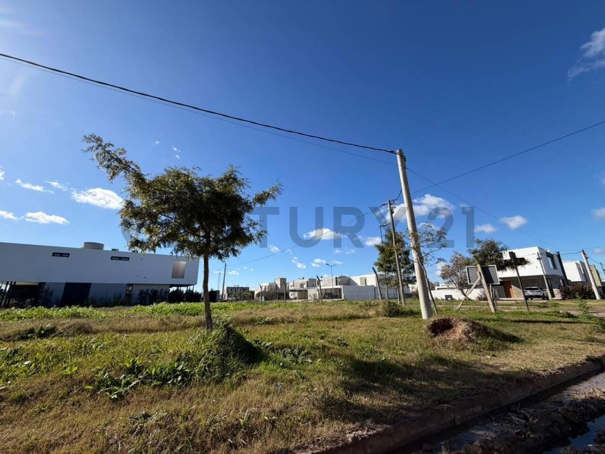 LOTE EN VENTA EN CITY BELL EL QUIMILAR — foto 1