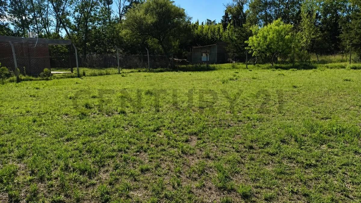 TERRENO EN VENTA EN VILLA ELISA — foto 1