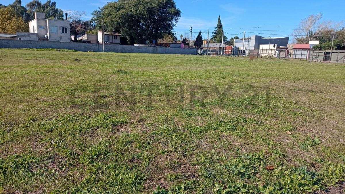 Lote en venta - CALLE 138 E/ 479 Y 480 — foto 1