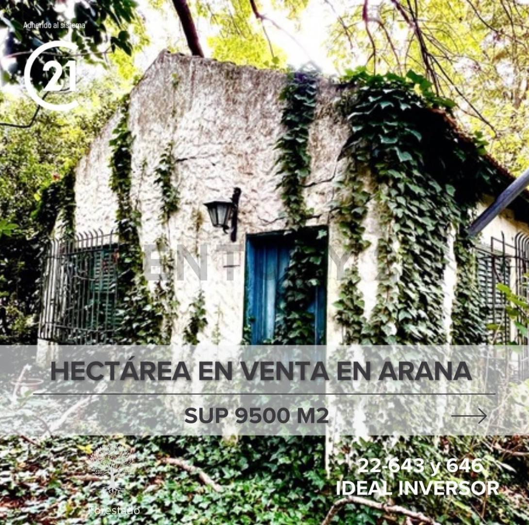 LOTE EN VENTA — foto 1