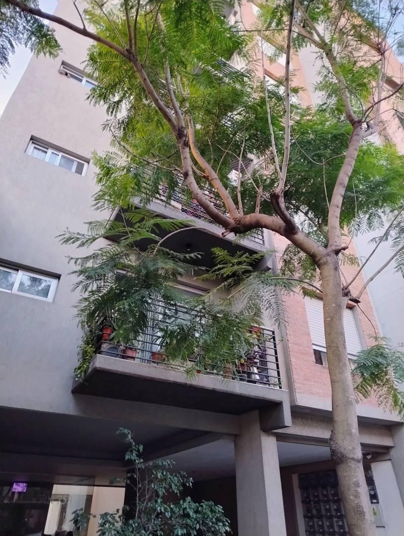Venta Monoambiente - IMPECABLE- APTO CREDITO- Morón - MUY LUMINOSO — foto 1