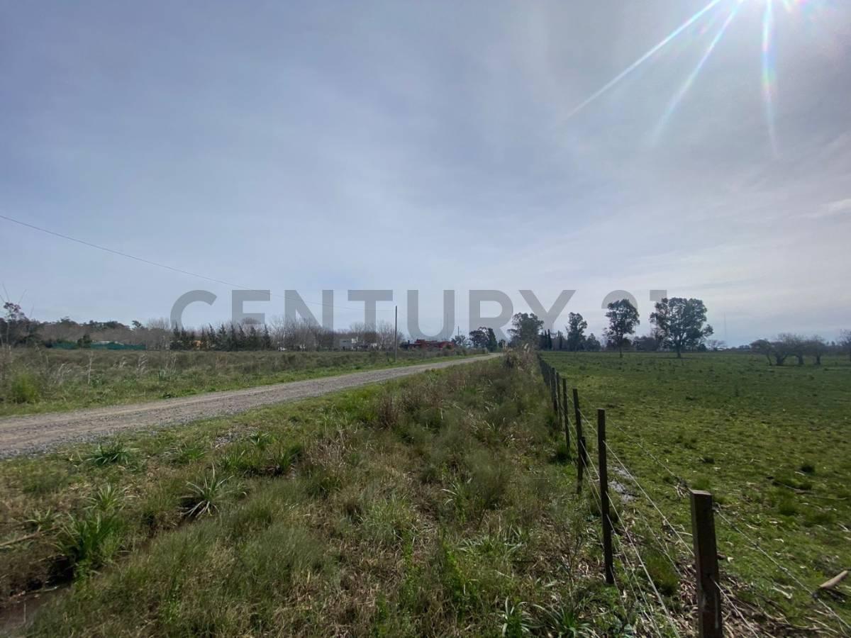 Calle 633 entre 10 y 13, se venden 4,5 hectáreas en La Plata — foto 1