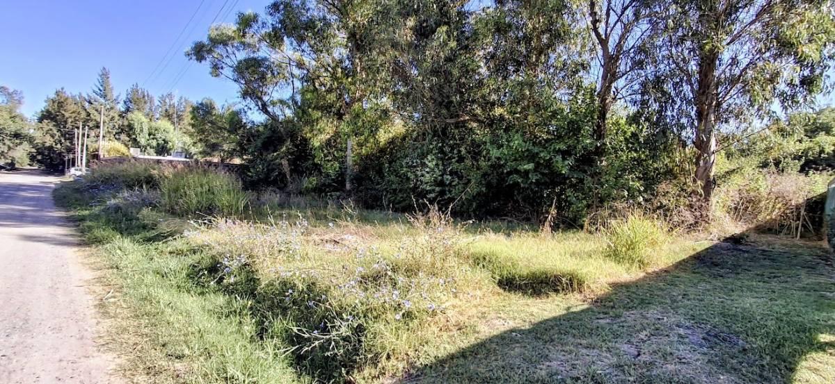 Venta de terrenos en Sicardi — foto 1