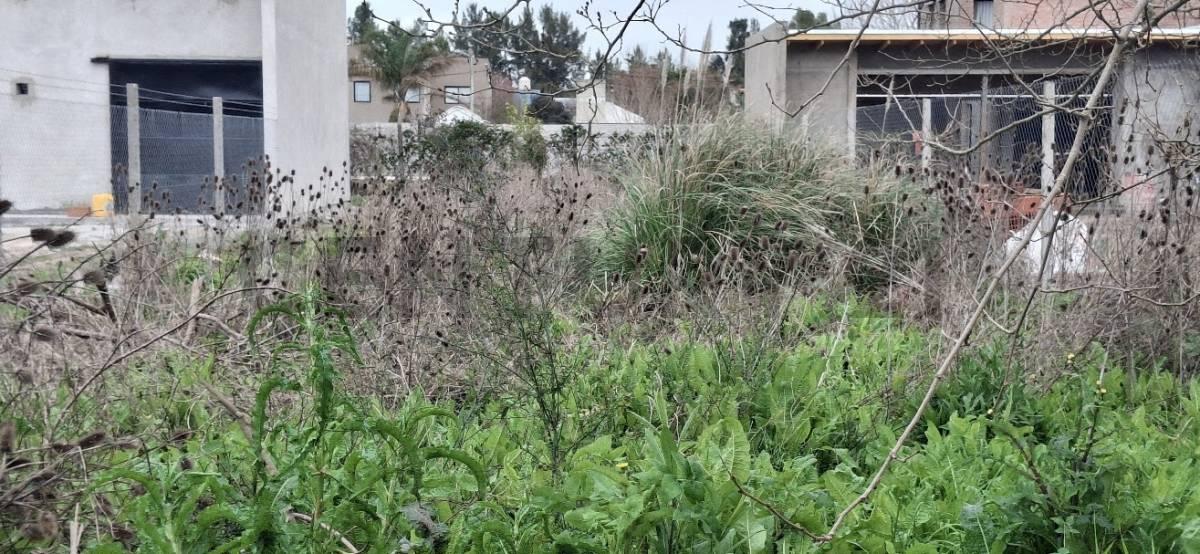 Lote en venta en Barrio Sicardi — foto 1