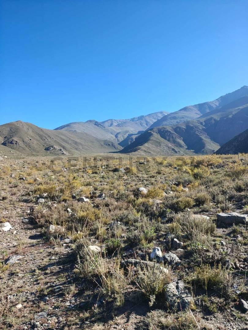 VENTA LOTE 2,6 HECTAREAS – CAMINO A VALLECITOS, POTRERILLOS — foto 1
