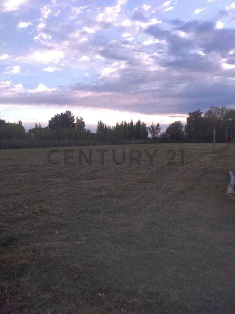 TERRENO EN VENTA - RUTA 40, EUGENIO BUSTOS — foto 1