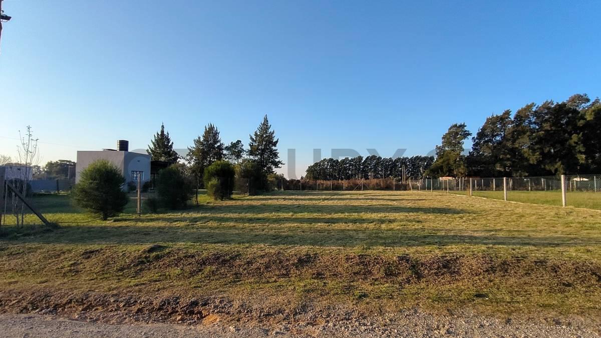Lote en Venta, RUTA 36 CALLE 38 e/ 192 y 193 Abasto ALDEA DEL BOSQUE. — foto 1