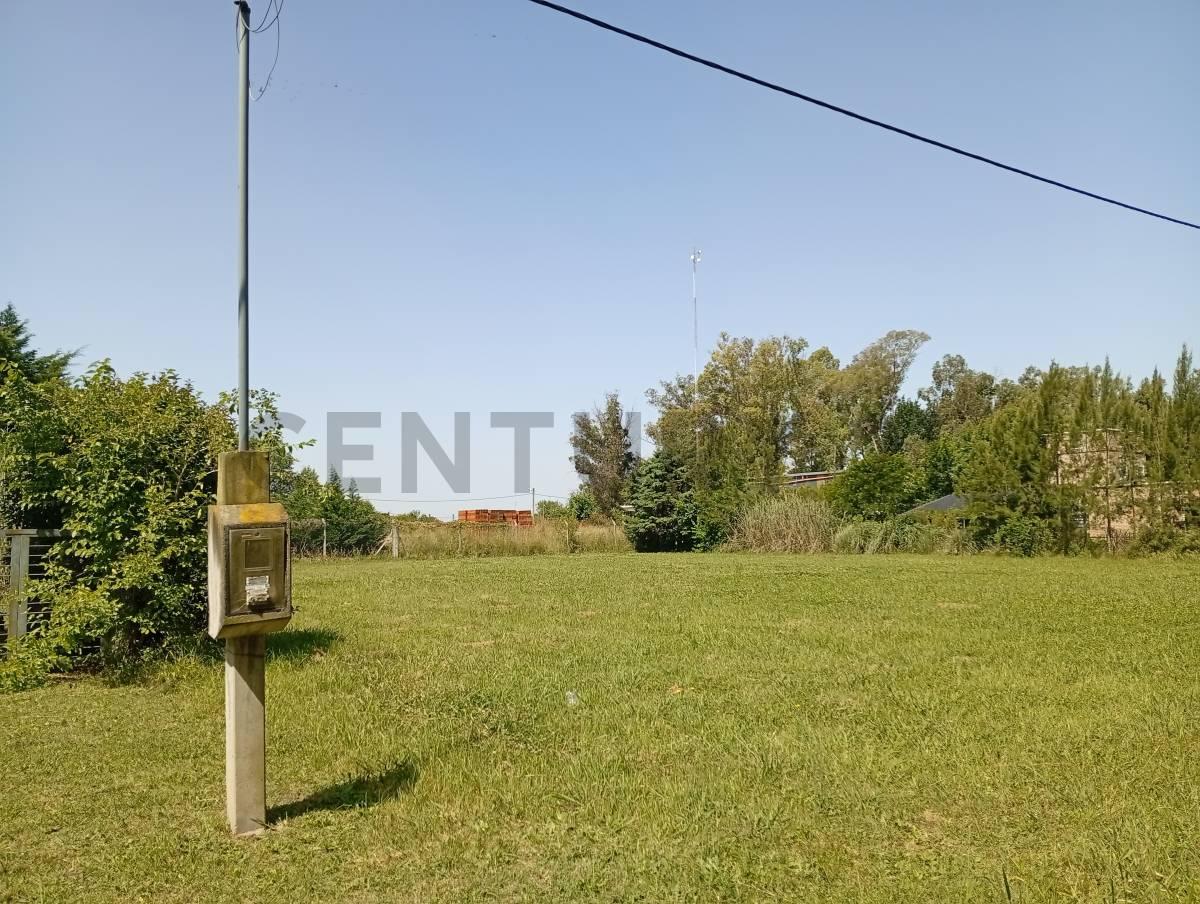 192 y 70. TERRENO EN VENTA DE 900M2, LISANDRO OLMOS. — foto 1