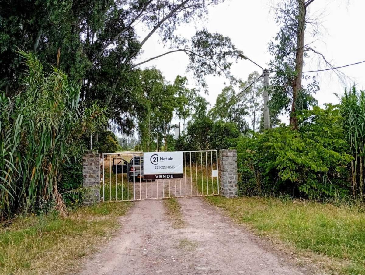 197 y 72, LOTES EN VENTA DE 375M2, LISANDRO OLMOS. — foto 1