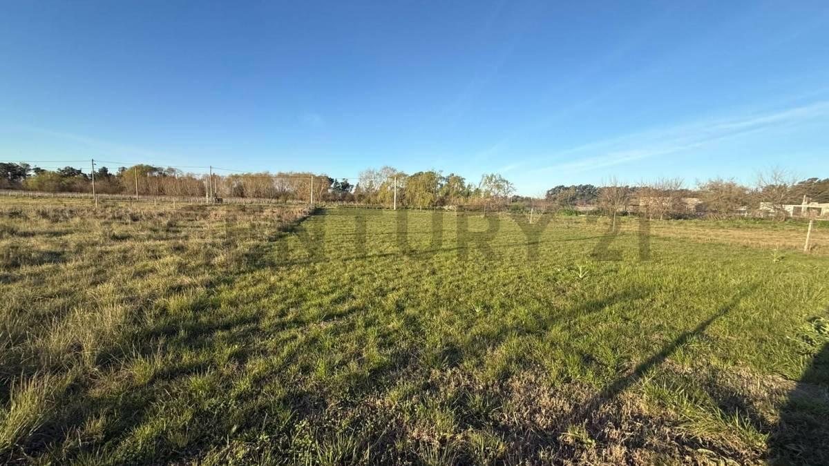 32 e/ 191 y 192 - LOTE EN BARRIO CERRADO ALDEA DEL BOSQUE 2 — foto 1