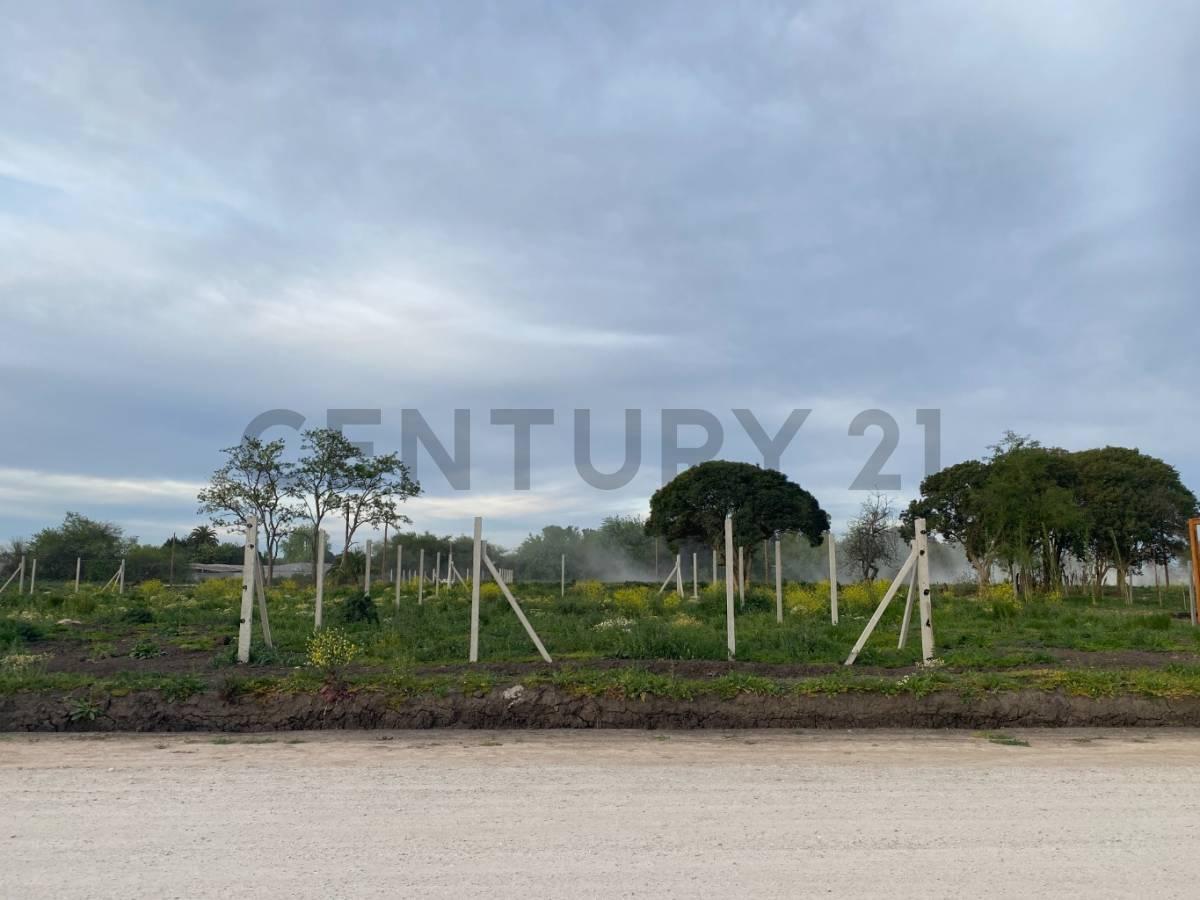 212 y 41. LOTE EN LISANDRO OLMOS 10X26 — foto 1