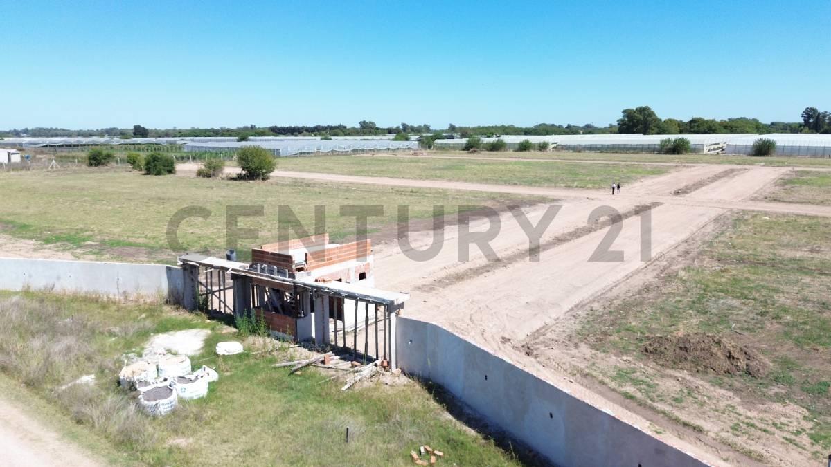 152 Y 612. LOTES EN VENTA DESARROLLO INNOVAR CLUB DE CAMPO. ARANA. — foto 1