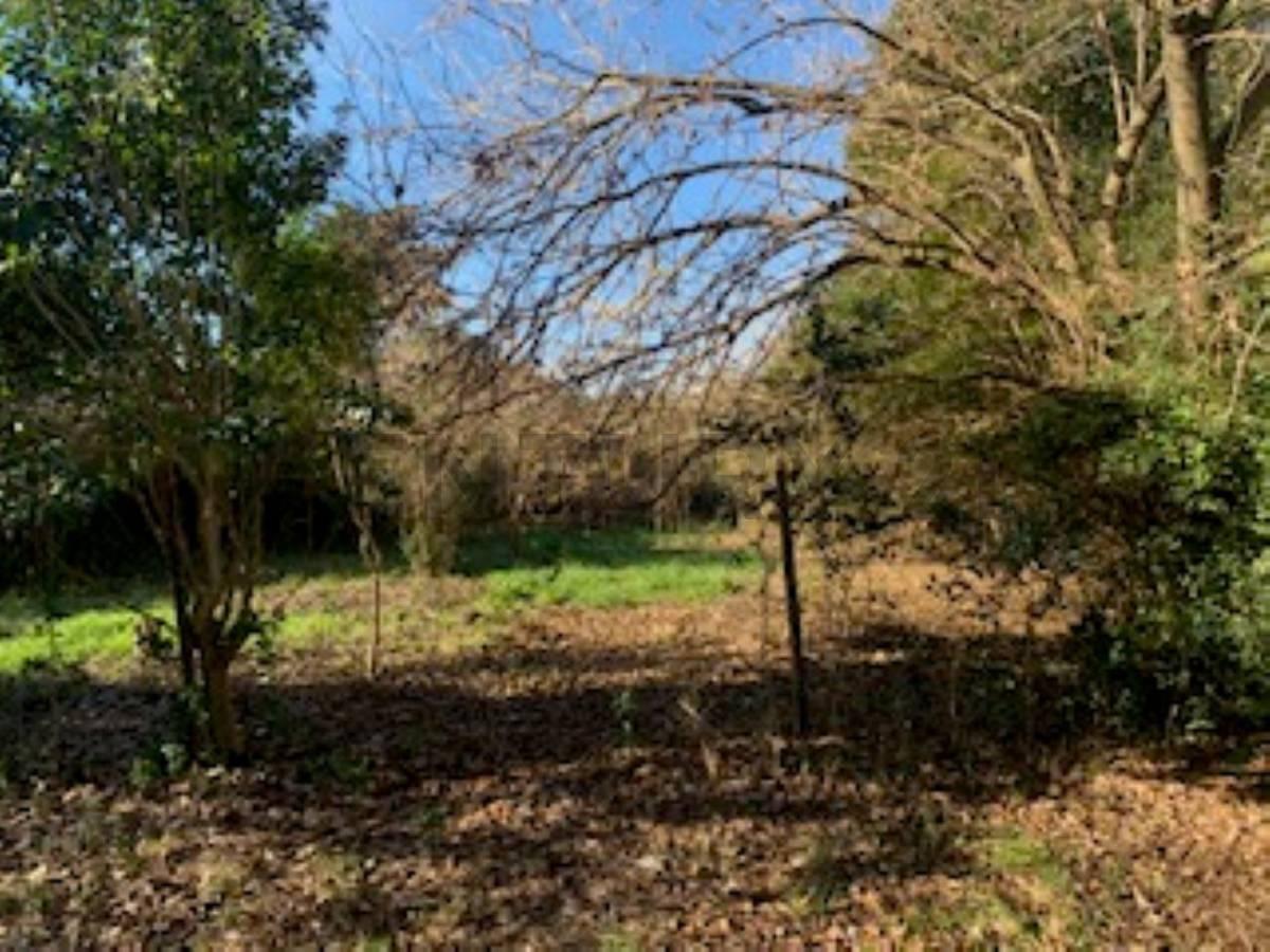 Parque Sakura. Lote de 761 m2. Exaltación de la Cruz. Consulta por financiación. — foto 1