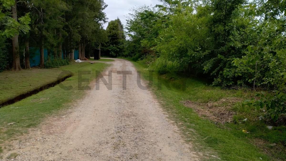 Lote en venta — foto 1