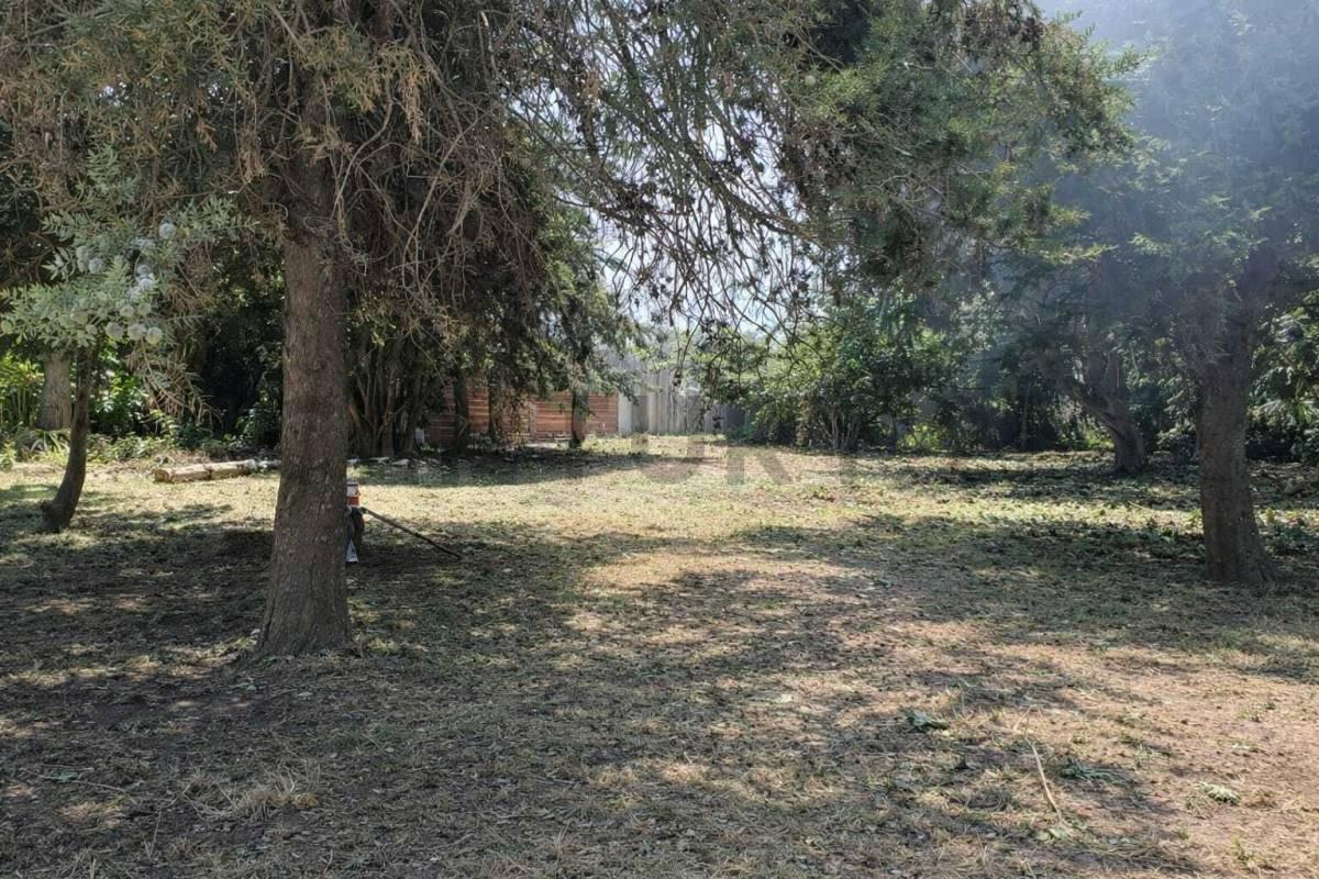Calle 13 entre 24 y calle a ceder. Venta Terreno en Coronel Brandsen. — foto 1