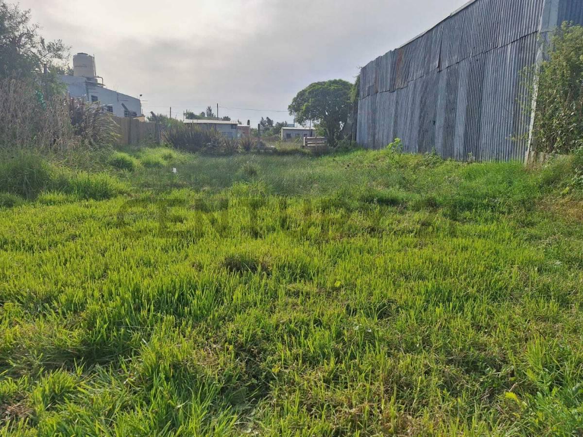 476 entre 5 y 6, City Bell. Lote en venta — foto 1